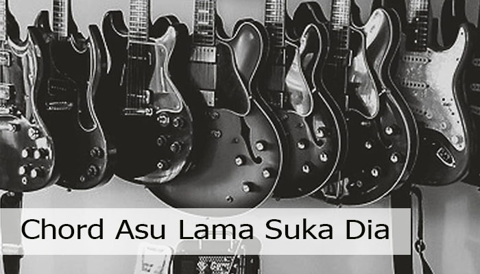 Chord Asu Lama Suka Dia Yang Bisa Di Pelajari Pemula!